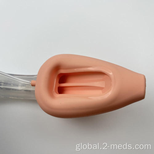 Double Lumen silicone gastric laryngeal mask airway